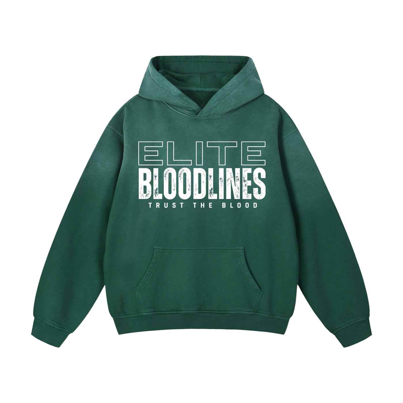 ELITE BLOODLINES Heavyweight Sunfade Oversized Hoodie