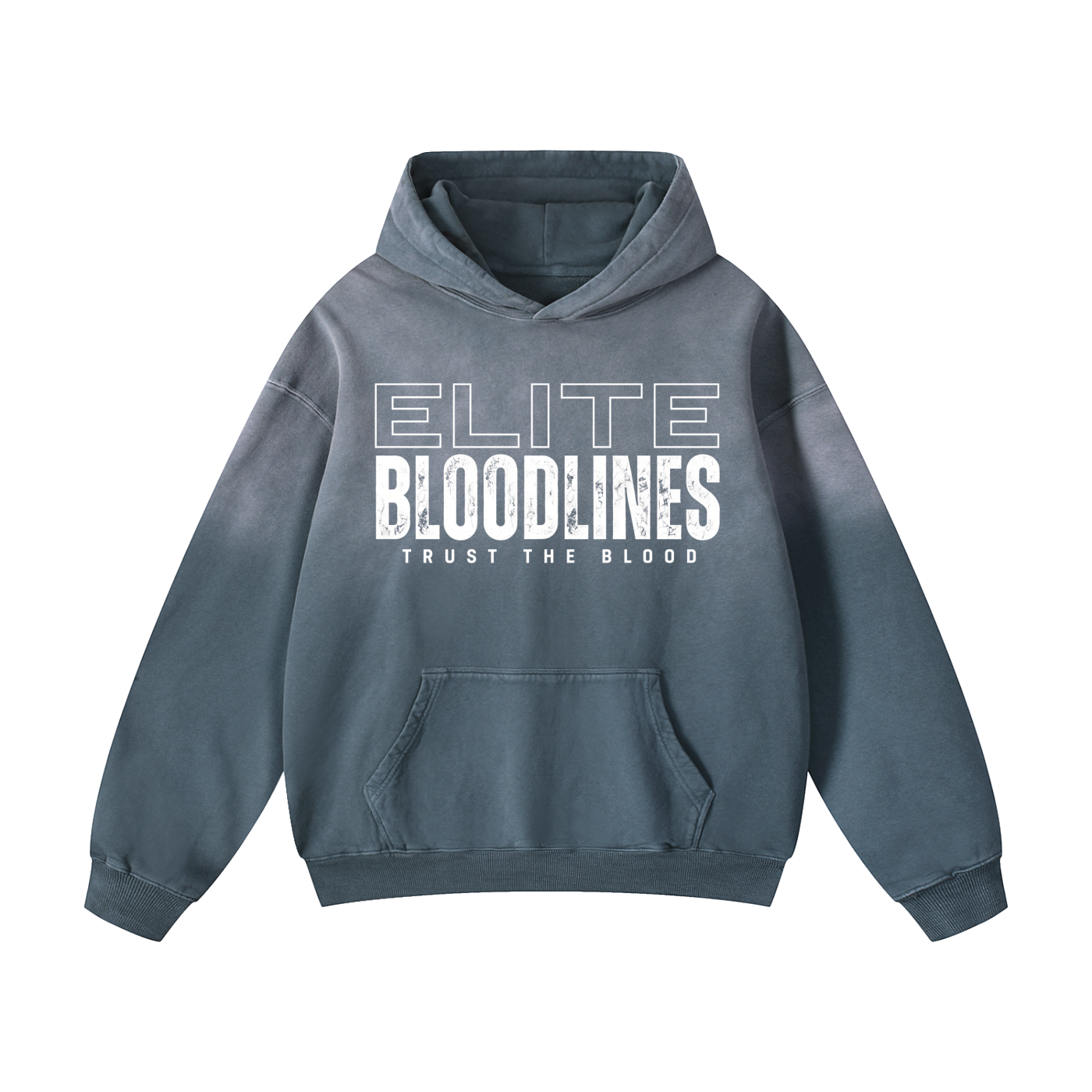 ELITE BLOODLINES Heavyweight Sunfade Oversized Hoodie