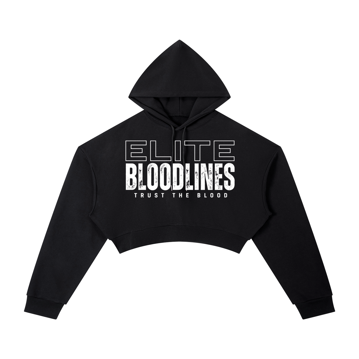 EB Core Line Essential Cropped Hoodie