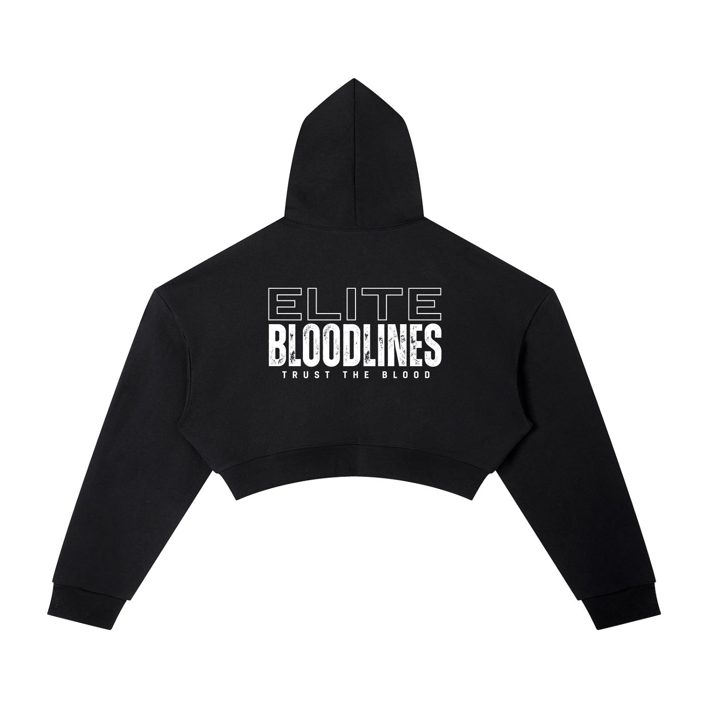 EB Core Line Essential Cropped Hoodie