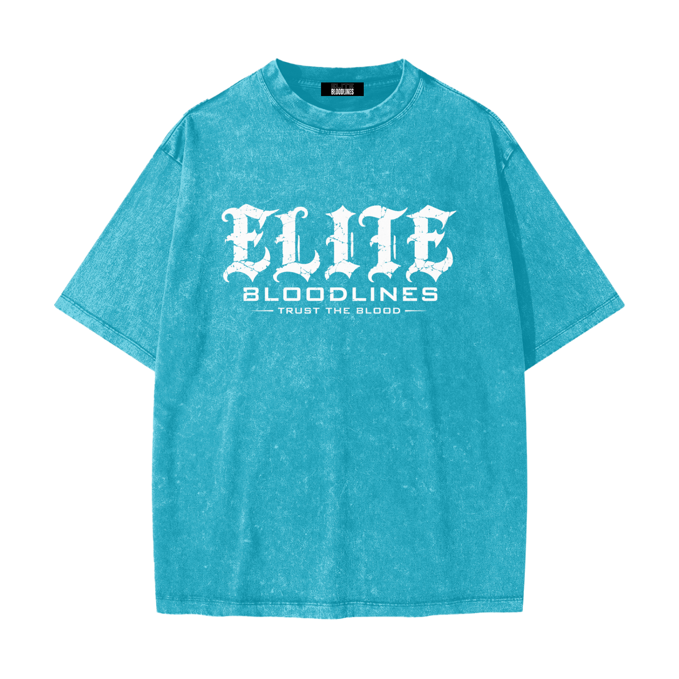 EB Icon Heavyweight Snow Washed Tee