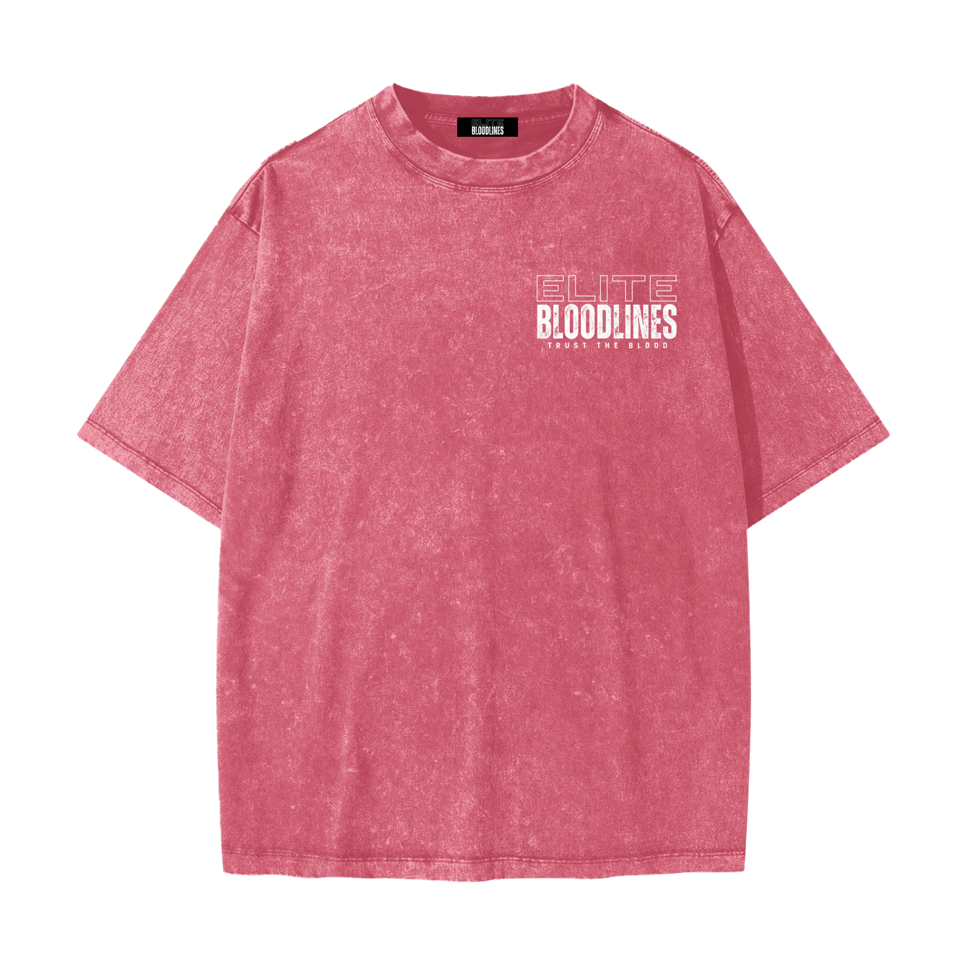 Heavyweight Snow Washed T-Shirt