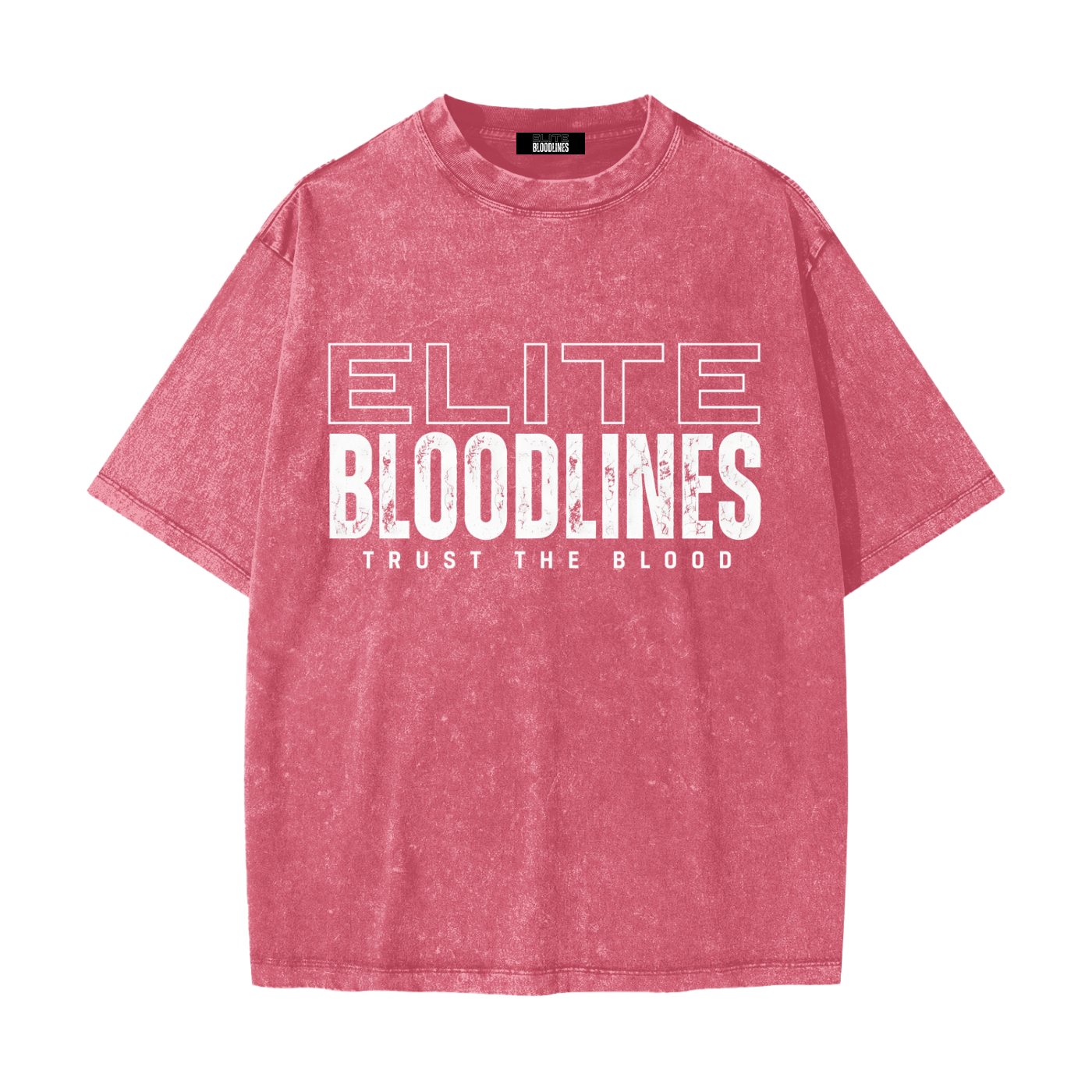 EB Core Line Heavyweight Snow Washed T-Shirt