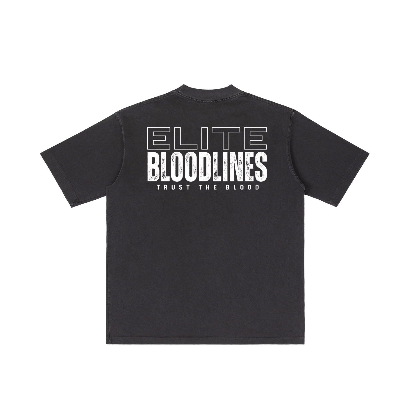 Core Line  10.3 (Back Image) Vintage Wash Drop Shoulder T-shirt
