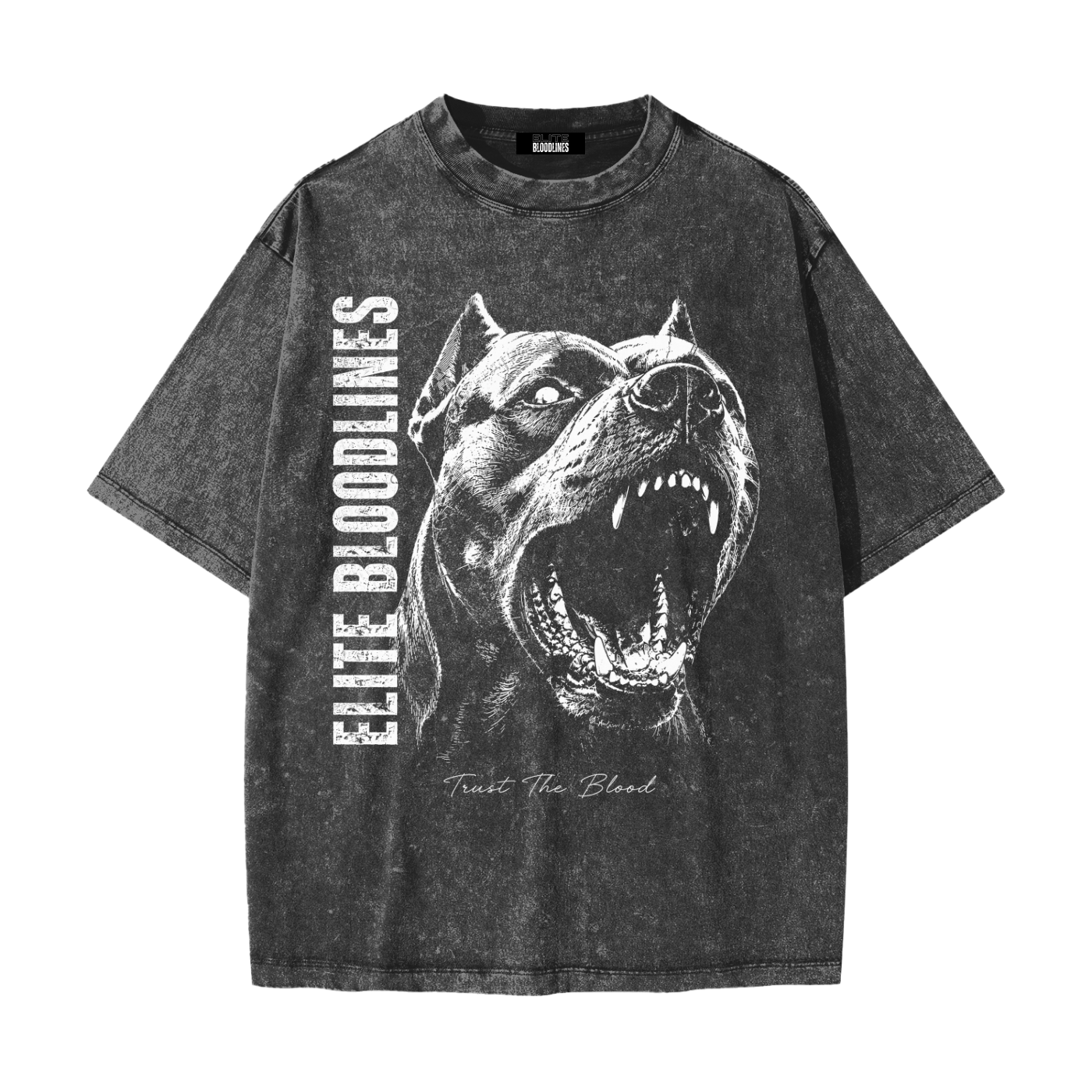 EB Unleashed Heavyweight Snow Washed T-Shirt