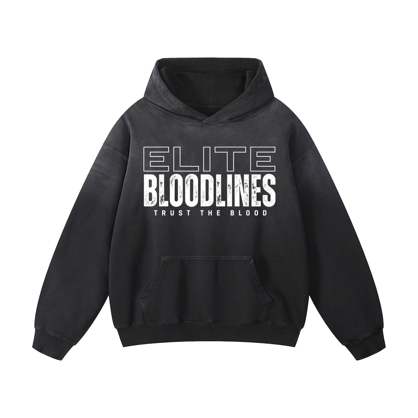 ELITE BLOODLINES Heavyweight Sunfade Oversized Hoodie