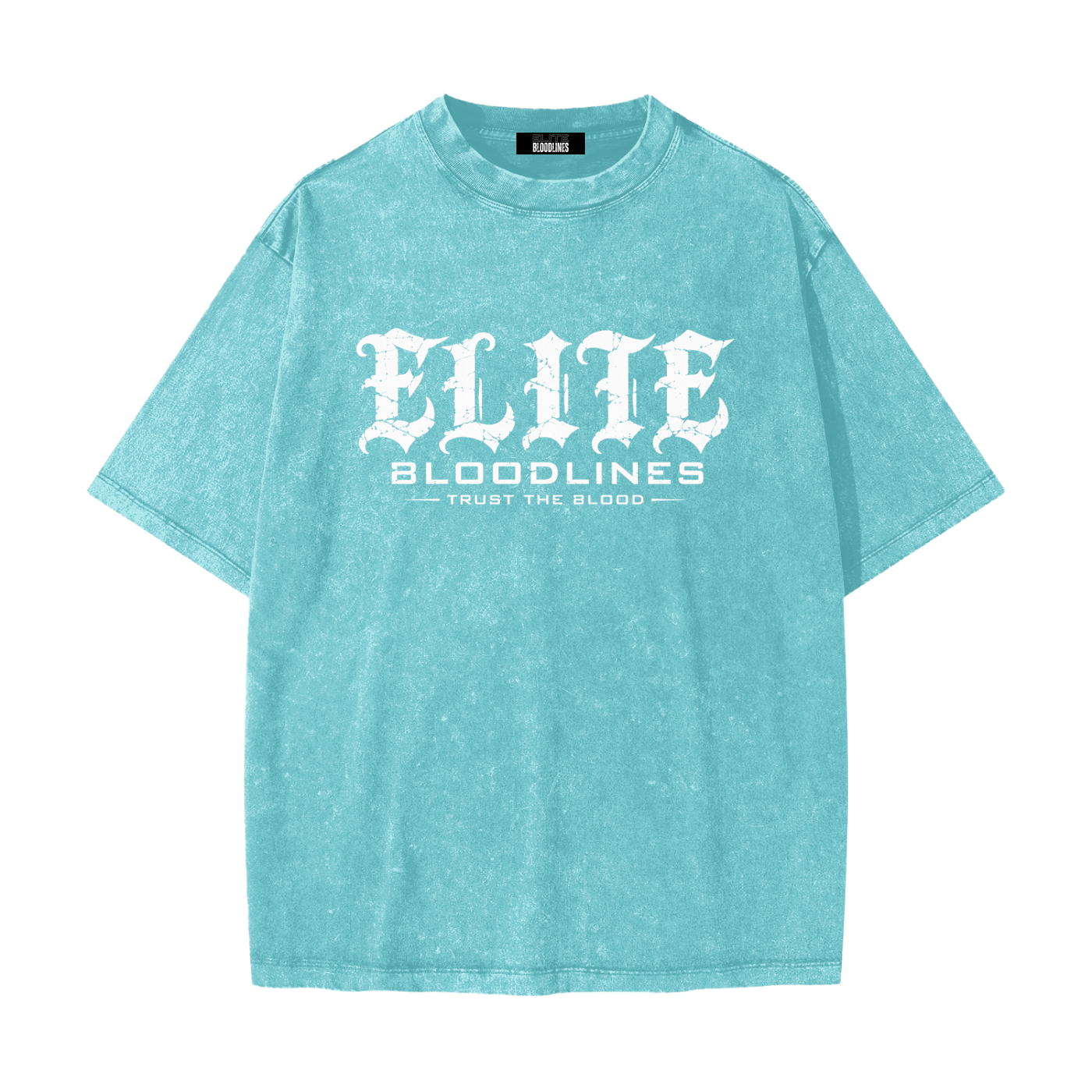 EB Icon Heavyweight Snow Washed Tee