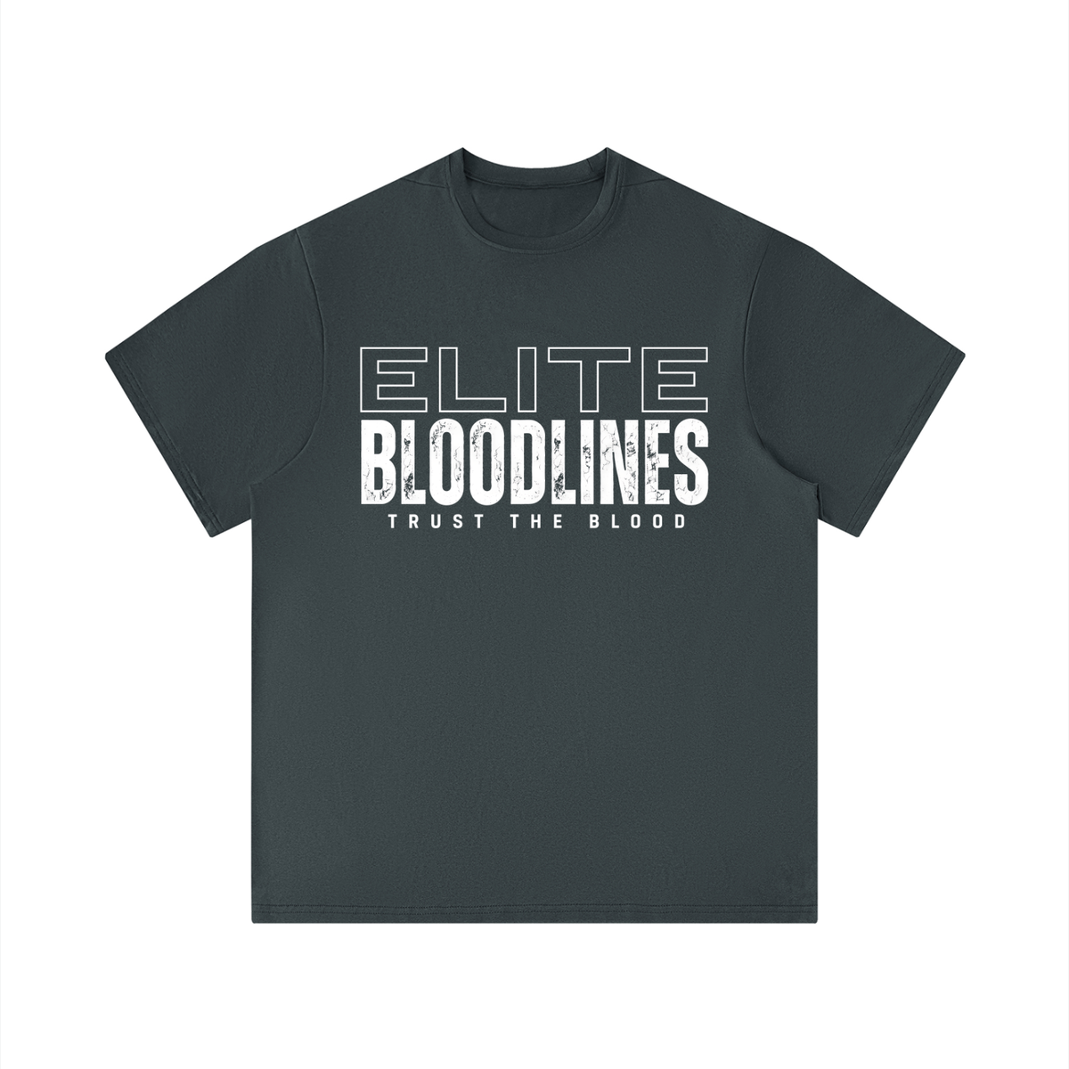 EB Core Line Men's Performance Regular Fit T-Shirt
