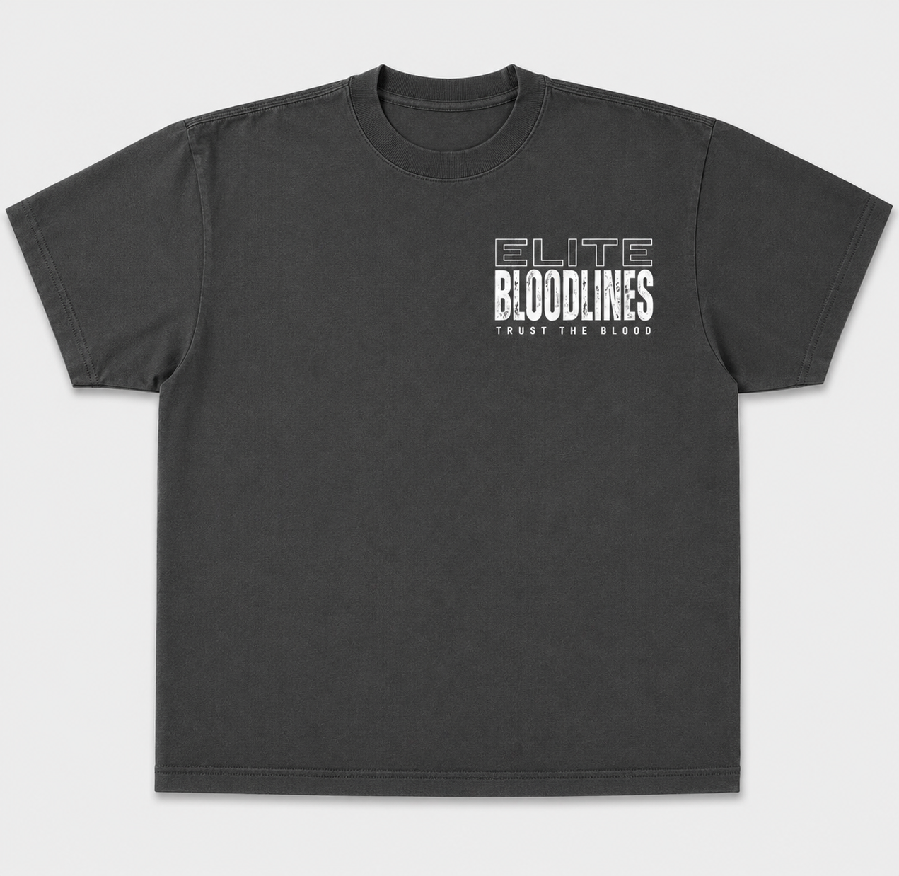 EB Core Line Oversized Heavyweight Tee (Large Back Print)