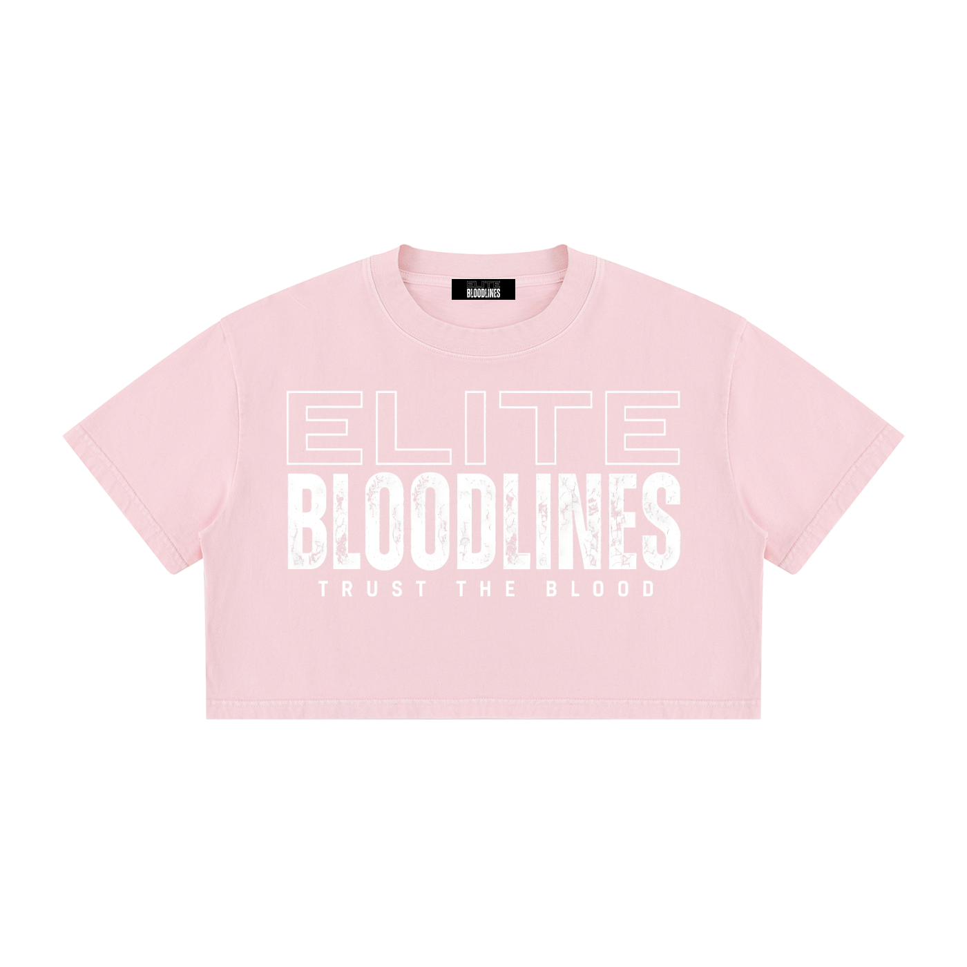 EB Core Line Women's Mineral Wash Cotton Crop T-Shirt