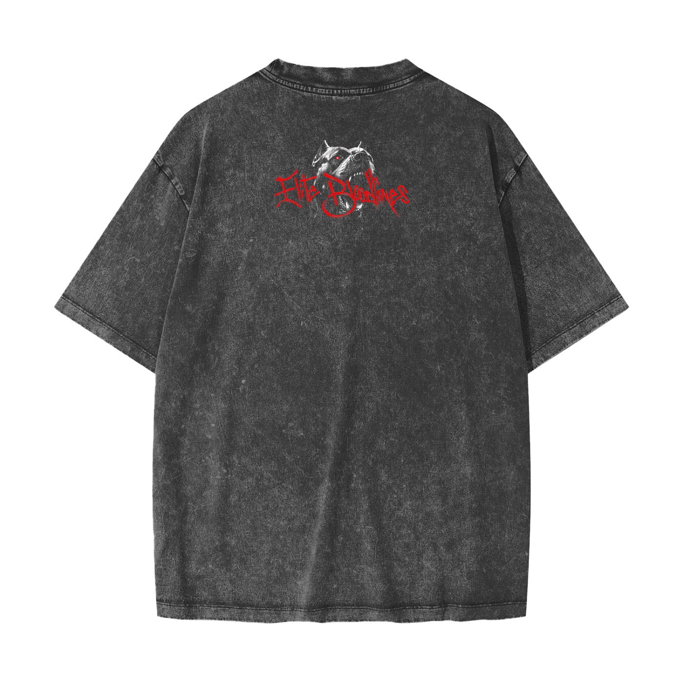 EB Unleashed Heavyweight Snow Washed T-Shirt