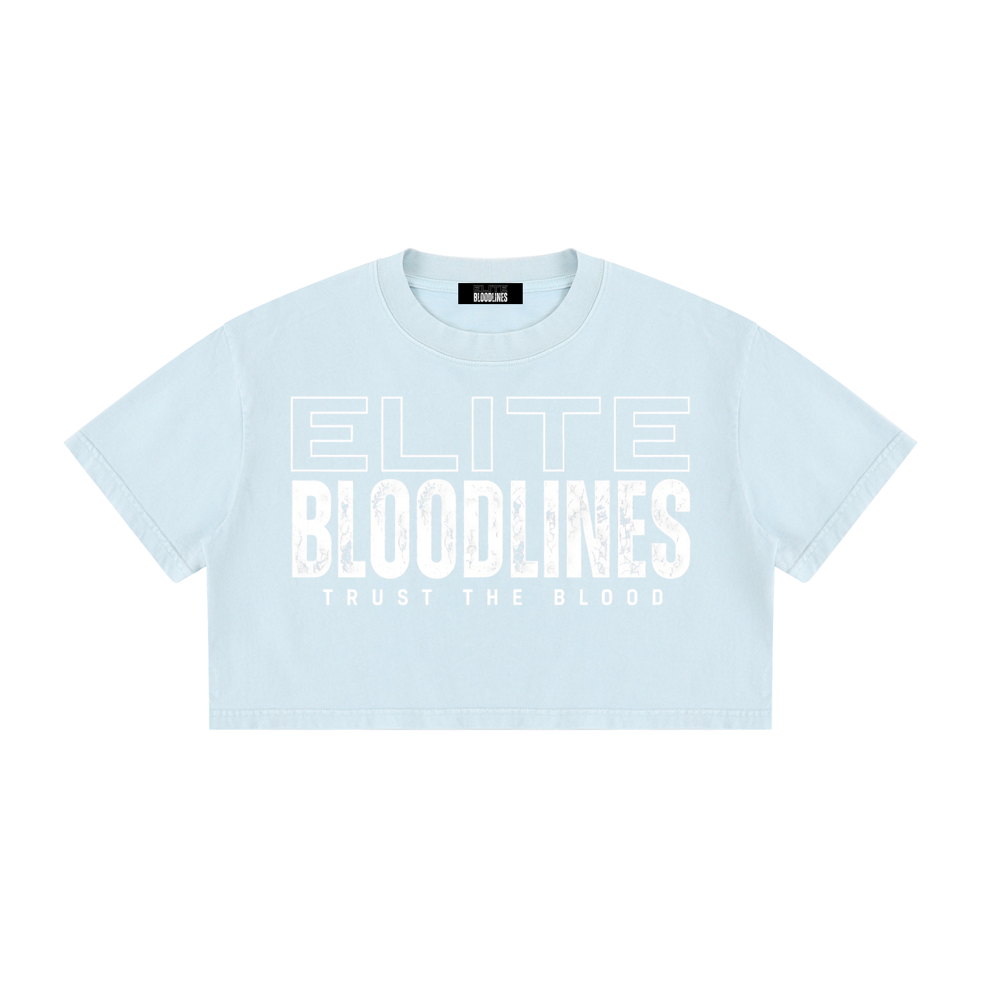 EB Core Line Women's Mineral Wash Cotton Crop T-Shirt