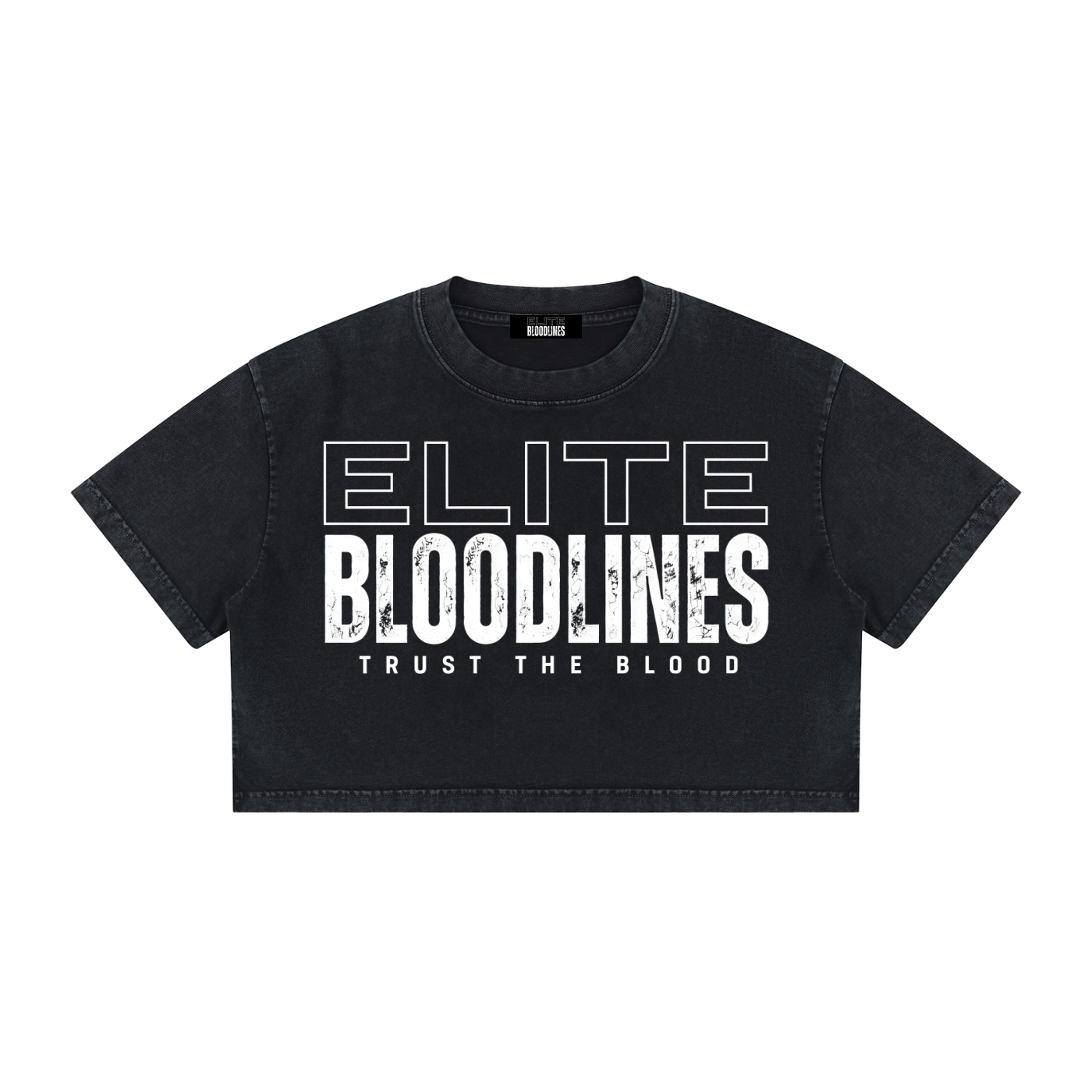 EB Core Line Women's Mineral Wash Cotton Crop T-Shirt