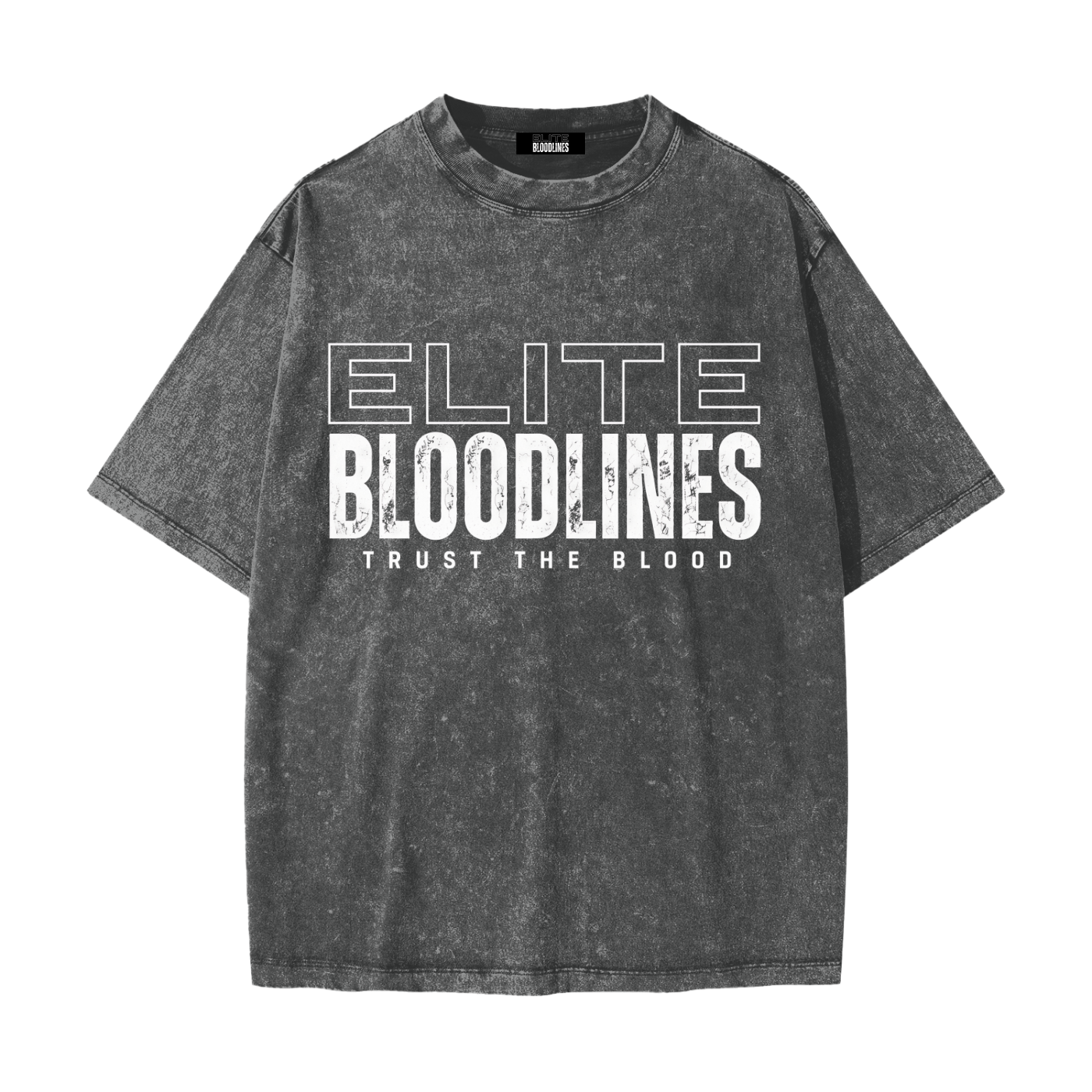 EB Core Line Heavyweight Snow Washed T-Shirt