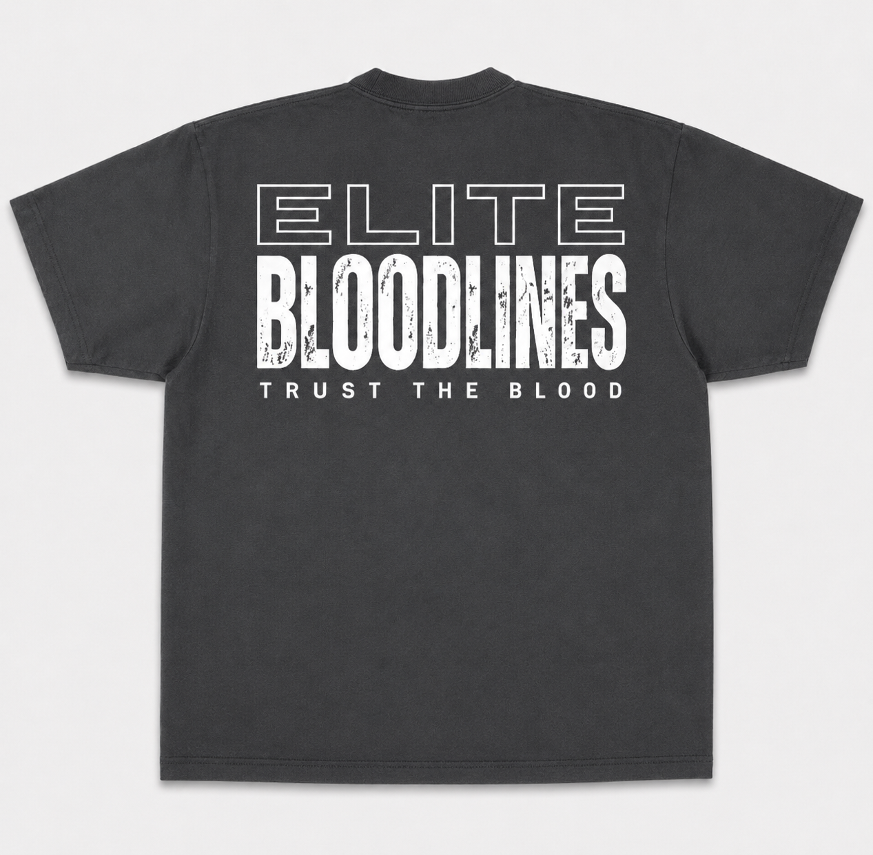 EB Core Line Oversized Heavyweight Tee (Large Back Print)