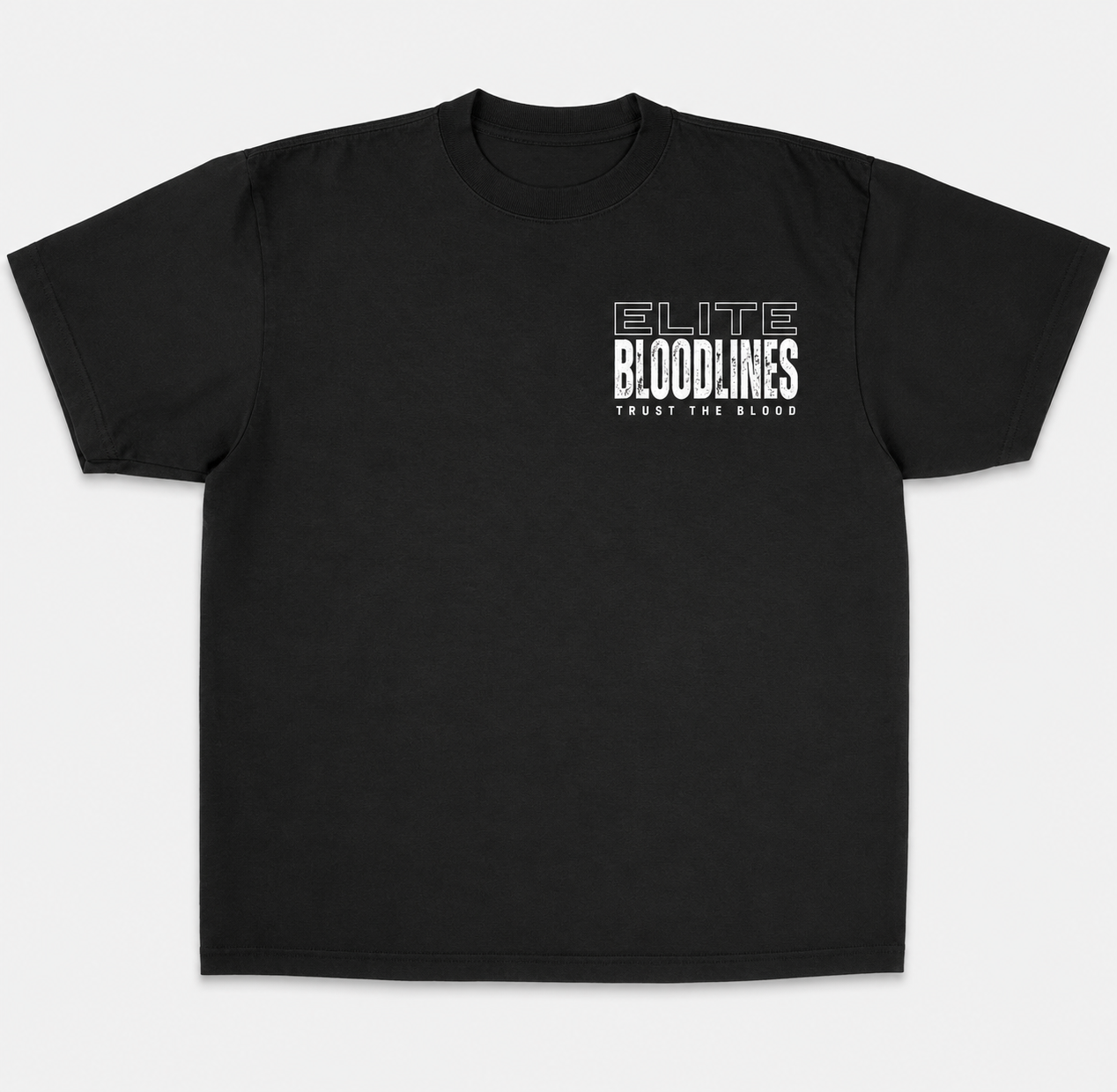 EB Core Line Oversized Heavyweight Tee (Large Back Print)