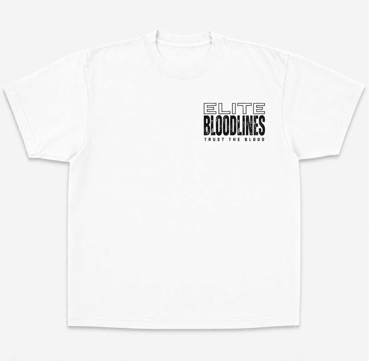 EB Core Line Oversized Heavyweight Tee (Large Back Print)