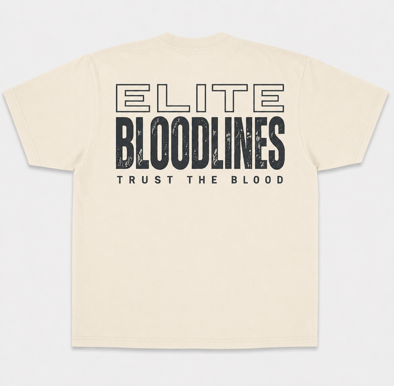 EB Core Line Oversized Heavyweight Tee (Large Back Print)