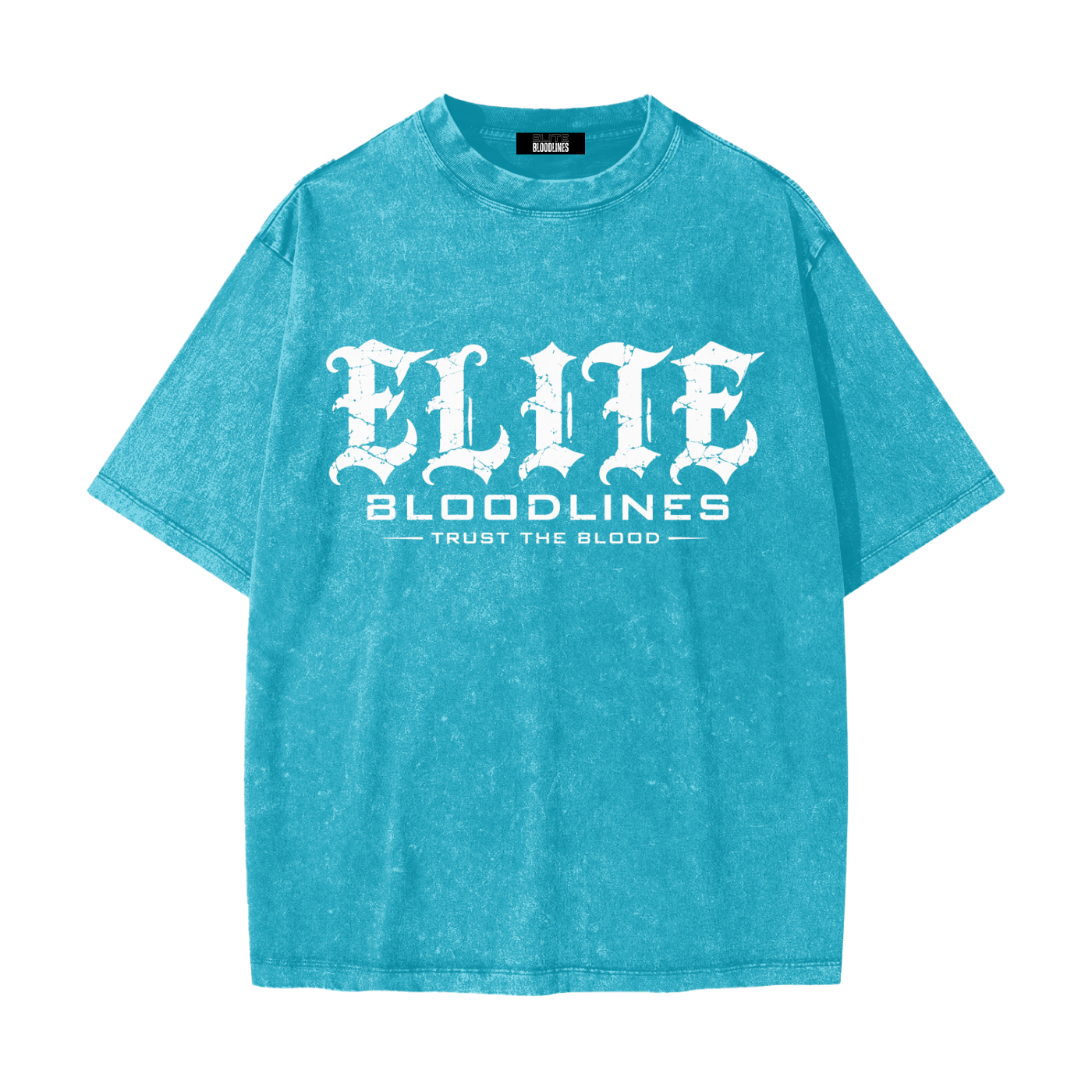 Heavyweight Snow Washed T-Shirt