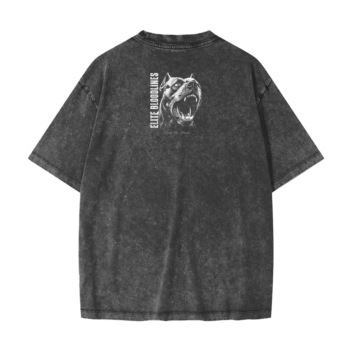 EB Unleashed Heavyweight Snow Washed T-Shirt