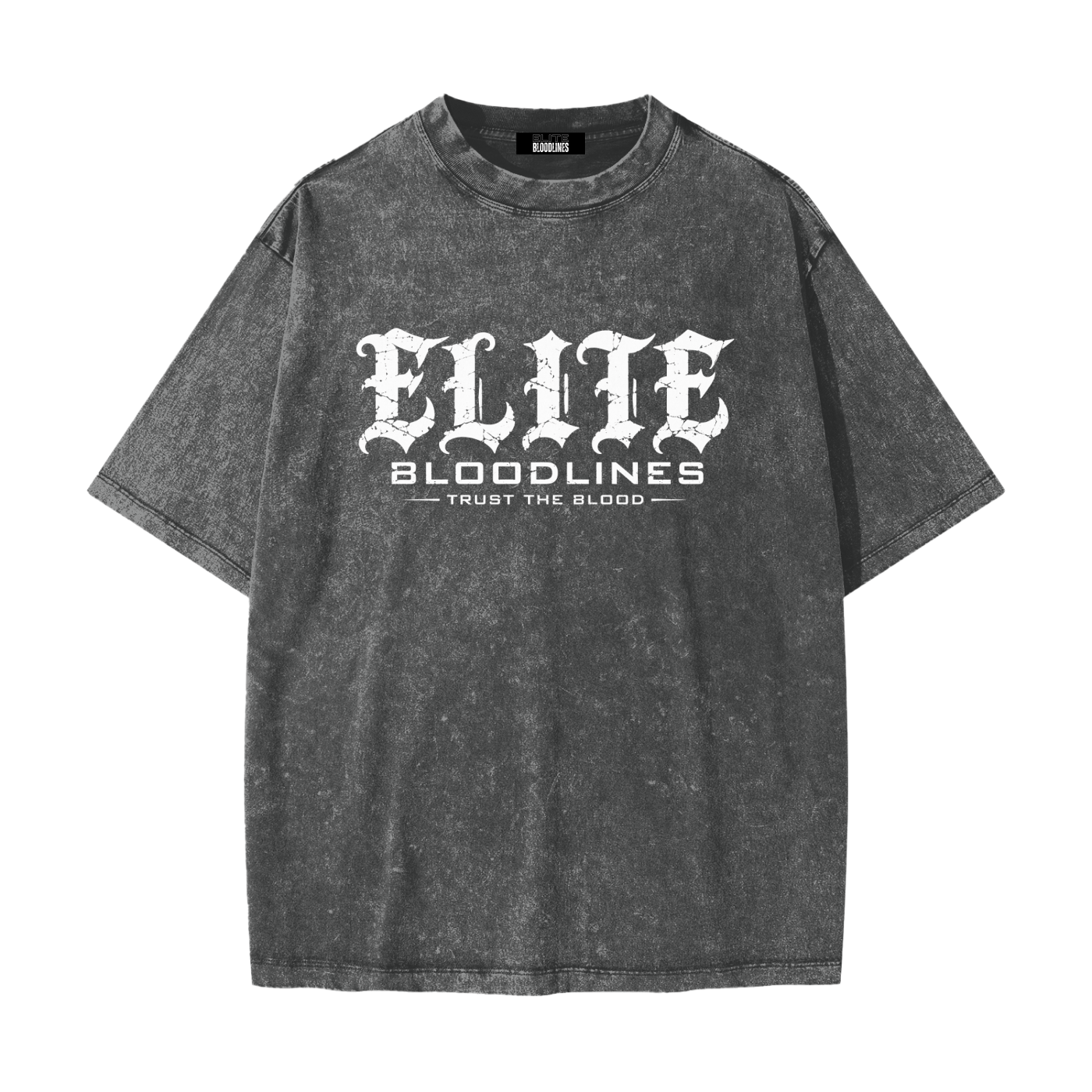 EB Icon Heavyweight Snow Washed Tee
