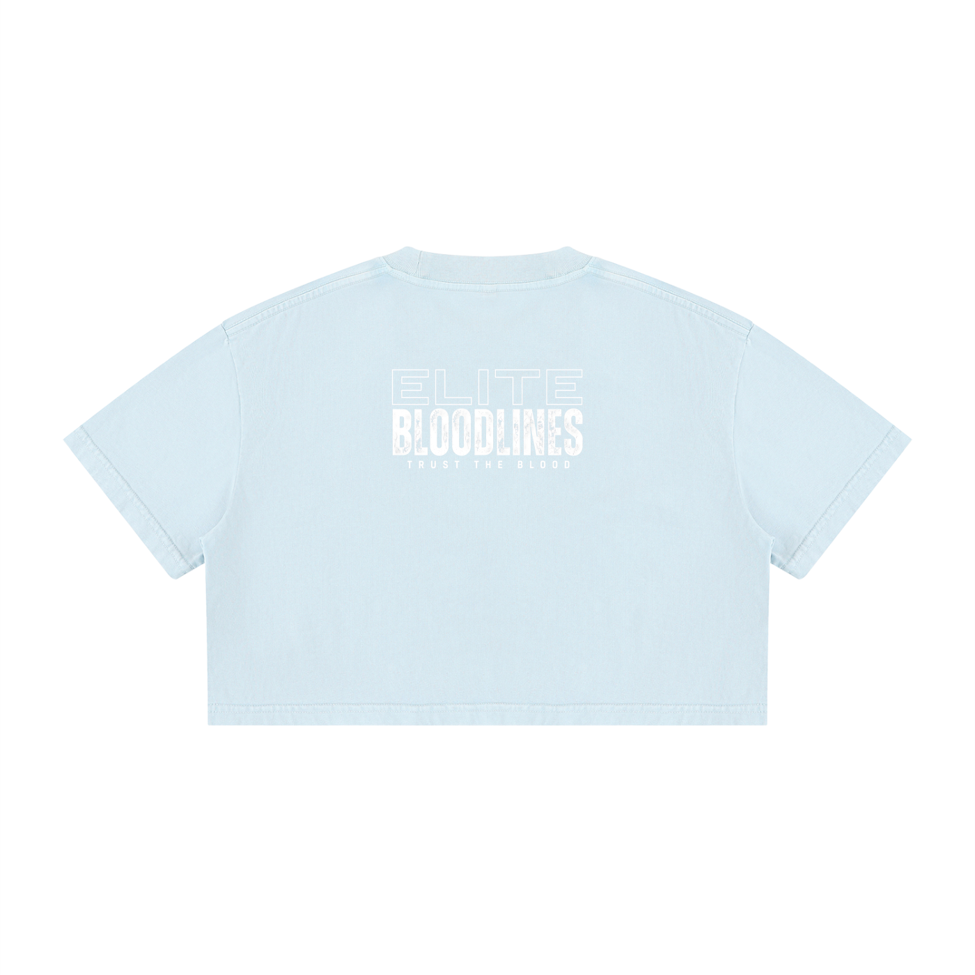 EB Core Line Women's Mineral Wash Cotton Crop T-Shirt