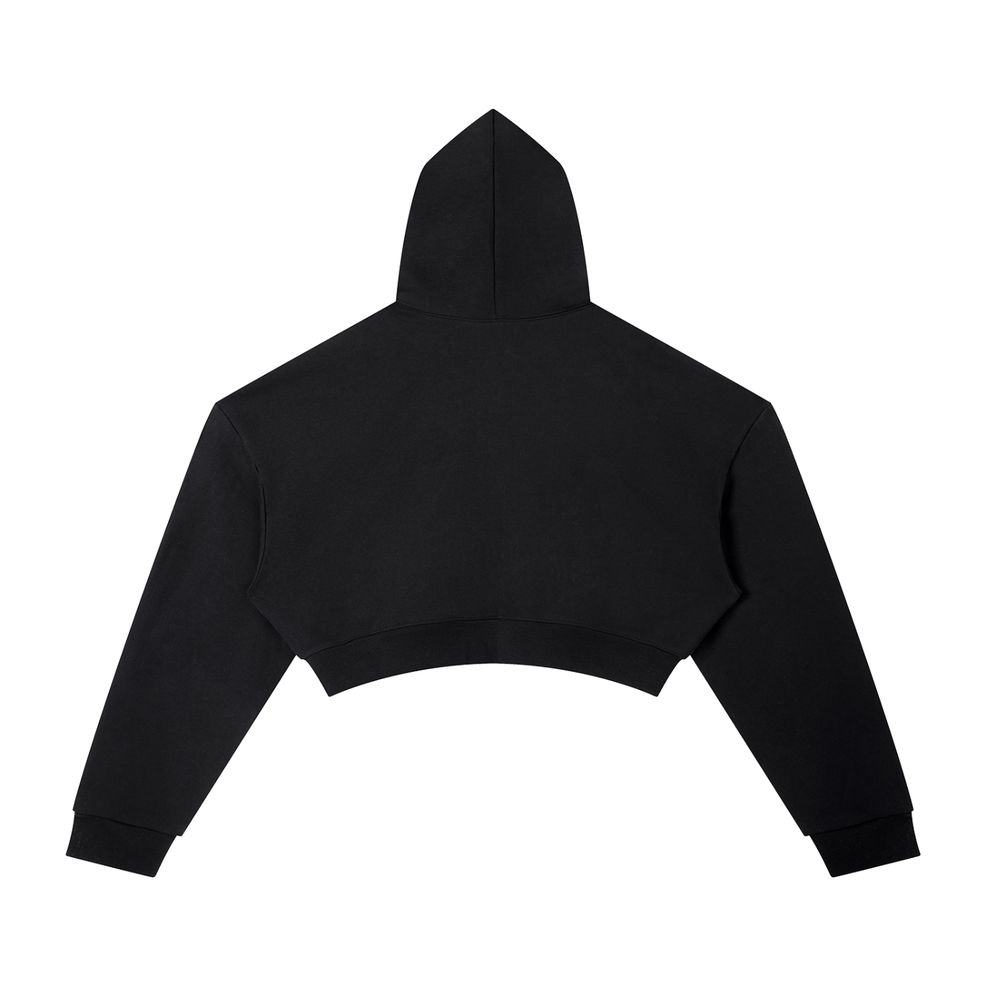 ELITE BLOODLINES Essential Cropped Hoodie