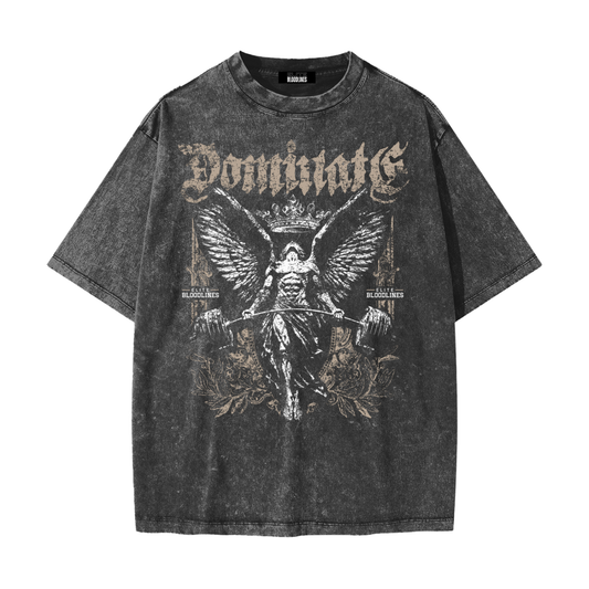 EB Dominate Heavyweight Snow Washed T-Shirt