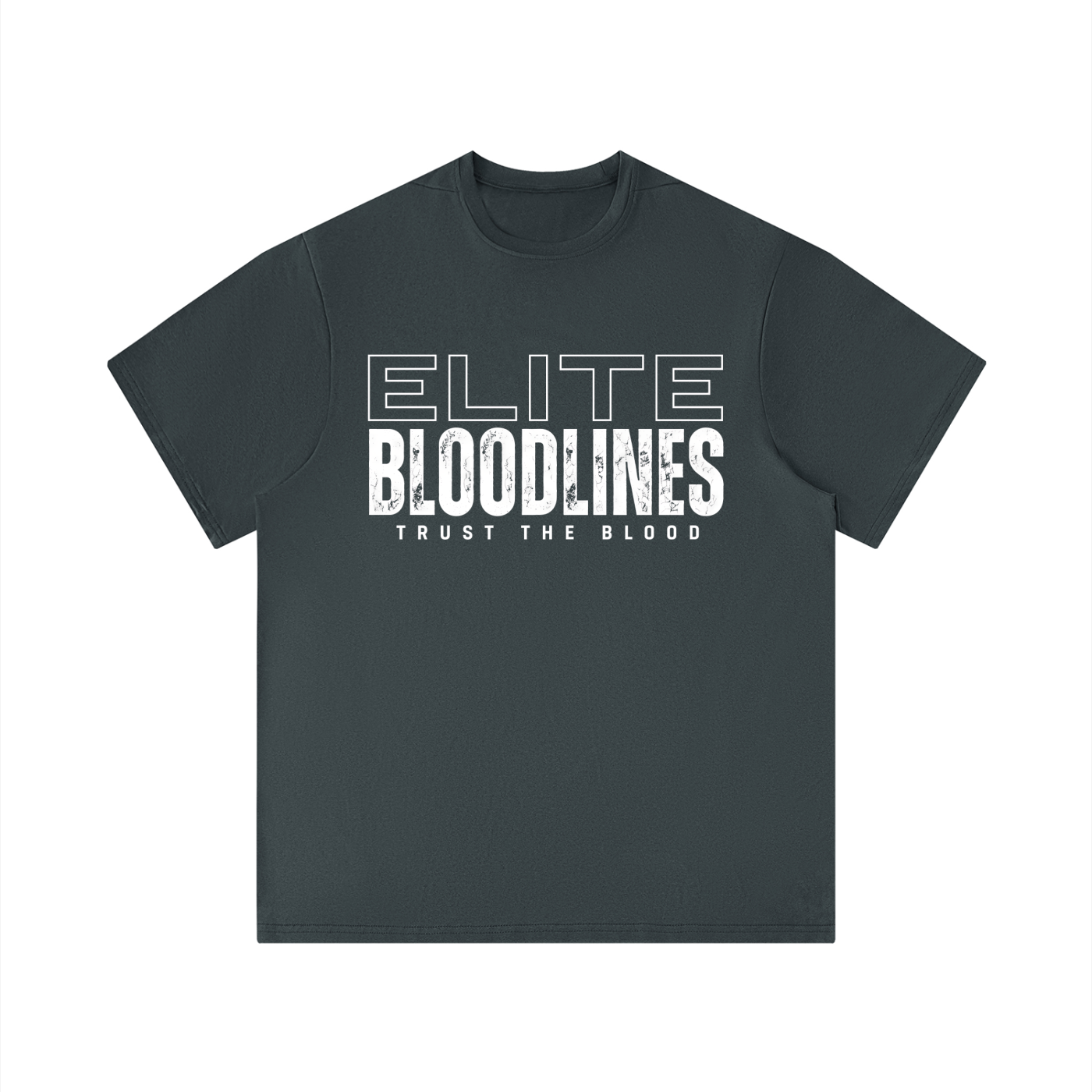 EB Core Line Men's Performance Regular Fit T-Shirt