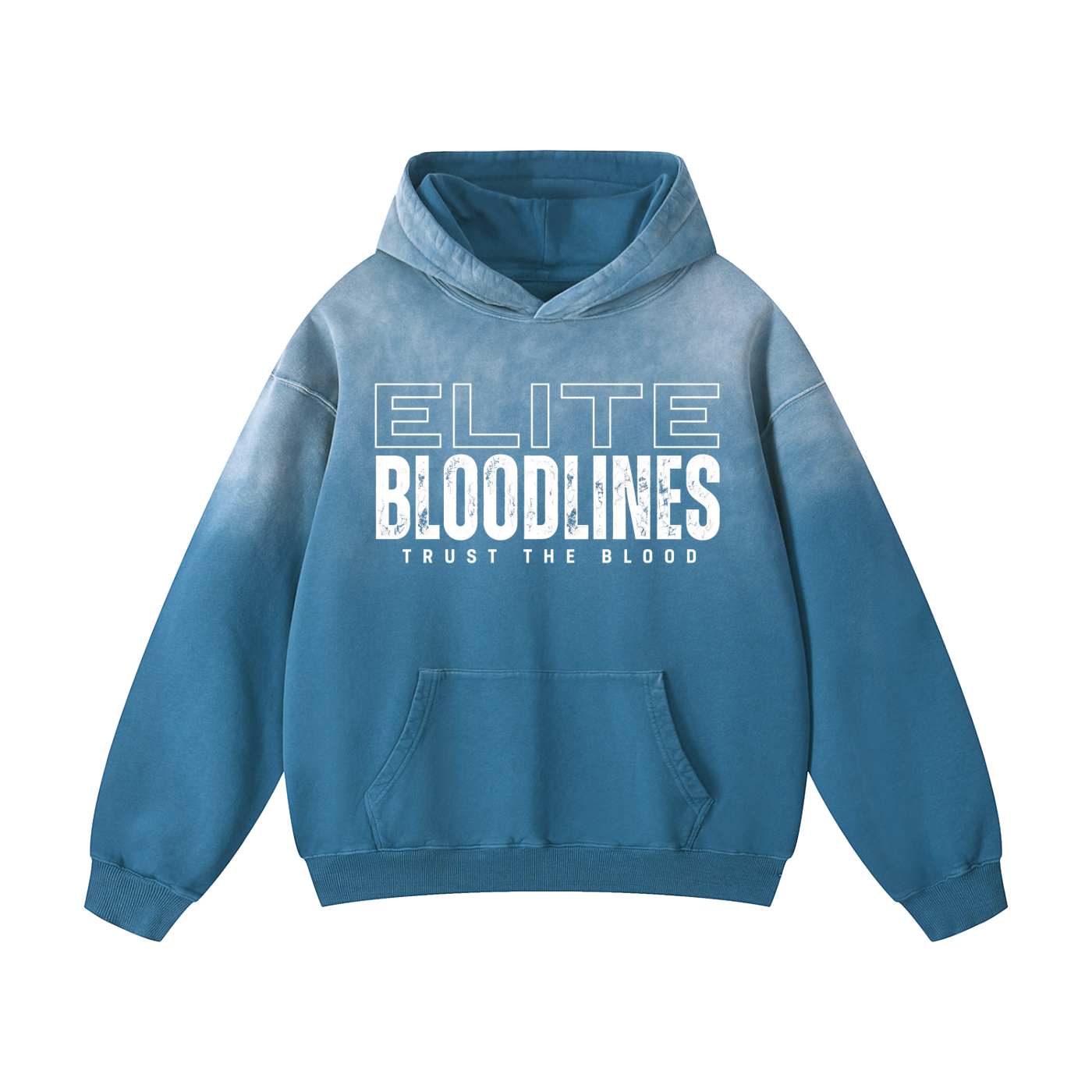 ELITE BLOODLINES Heavyweight Sunfade Oversized Hoodie