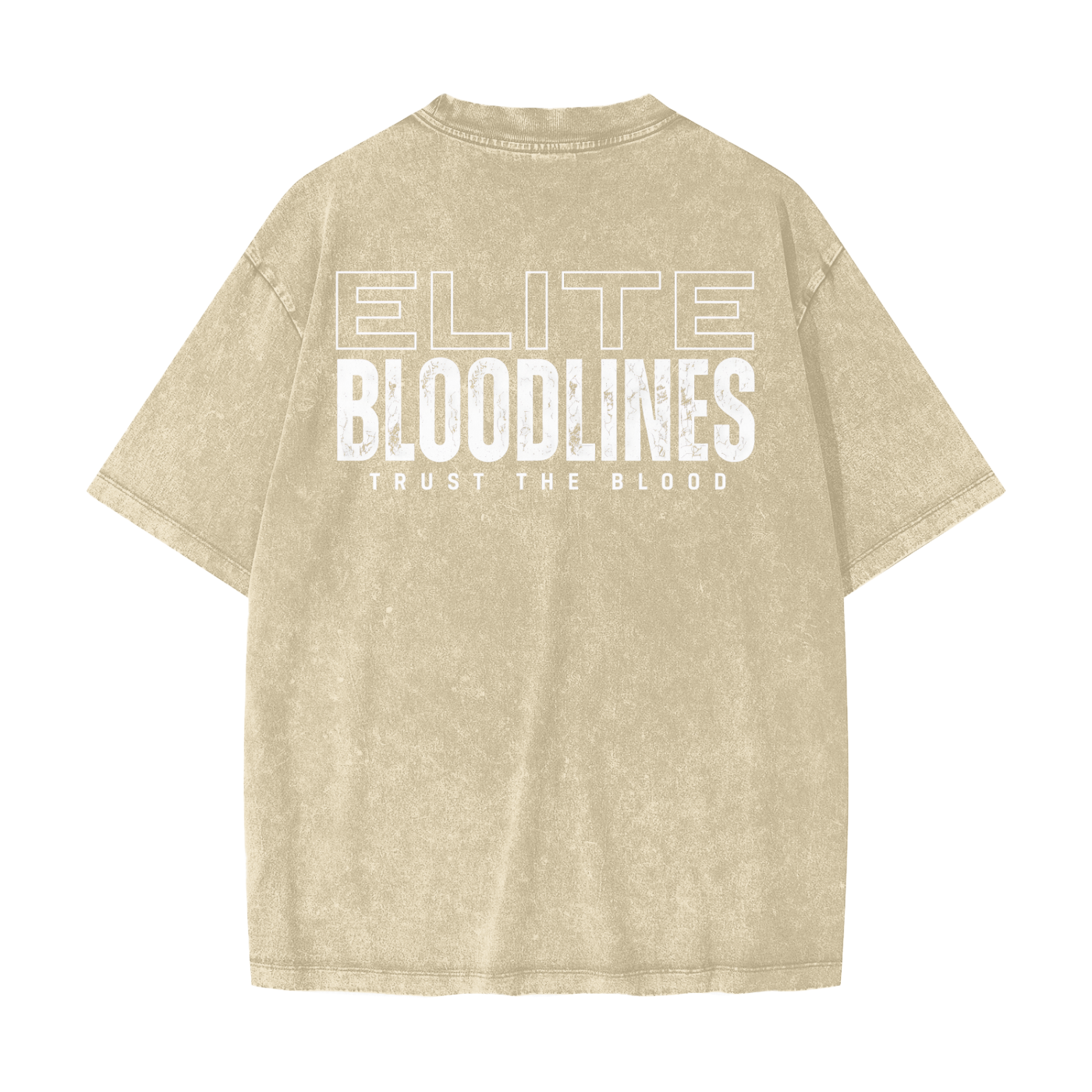 Heavyweight Snow Washed T-Shirt