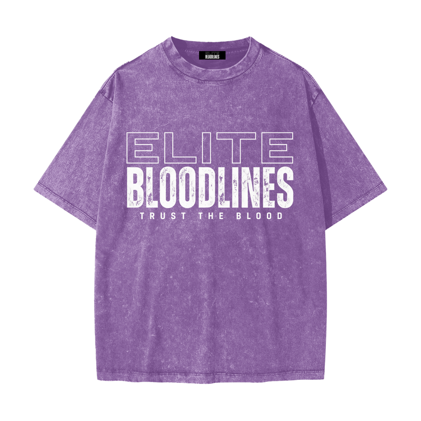 EB Core Line Heavyweight Snow Washed T-Shirt