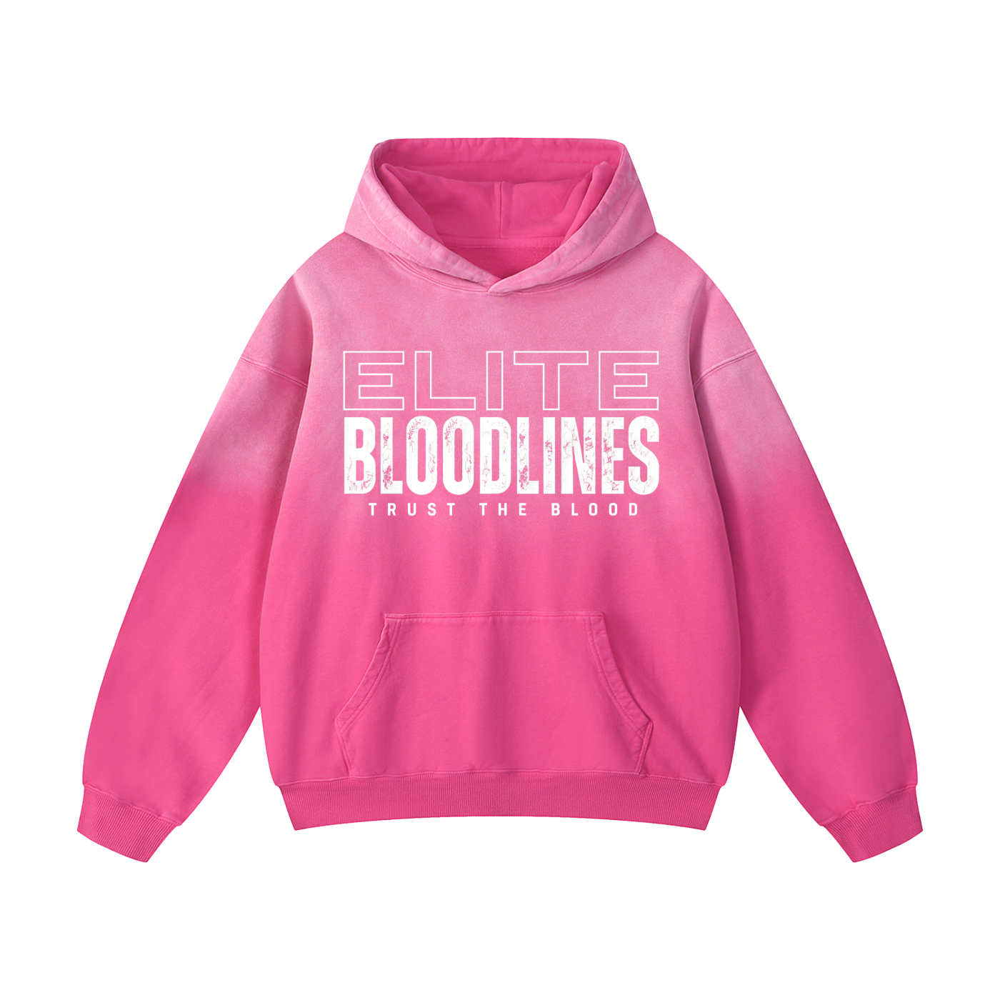 ELITE BLOODLINES Heavyweight Sunfade Oversized Hoodie
