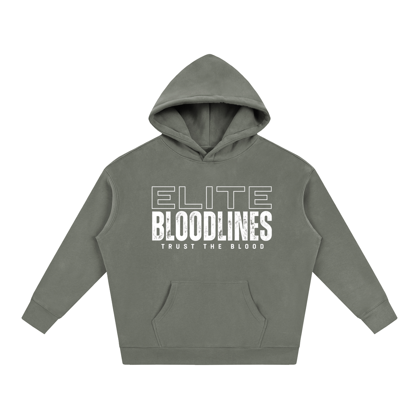 ELITE BLOODLINES Oversize Fleeced Hoodie