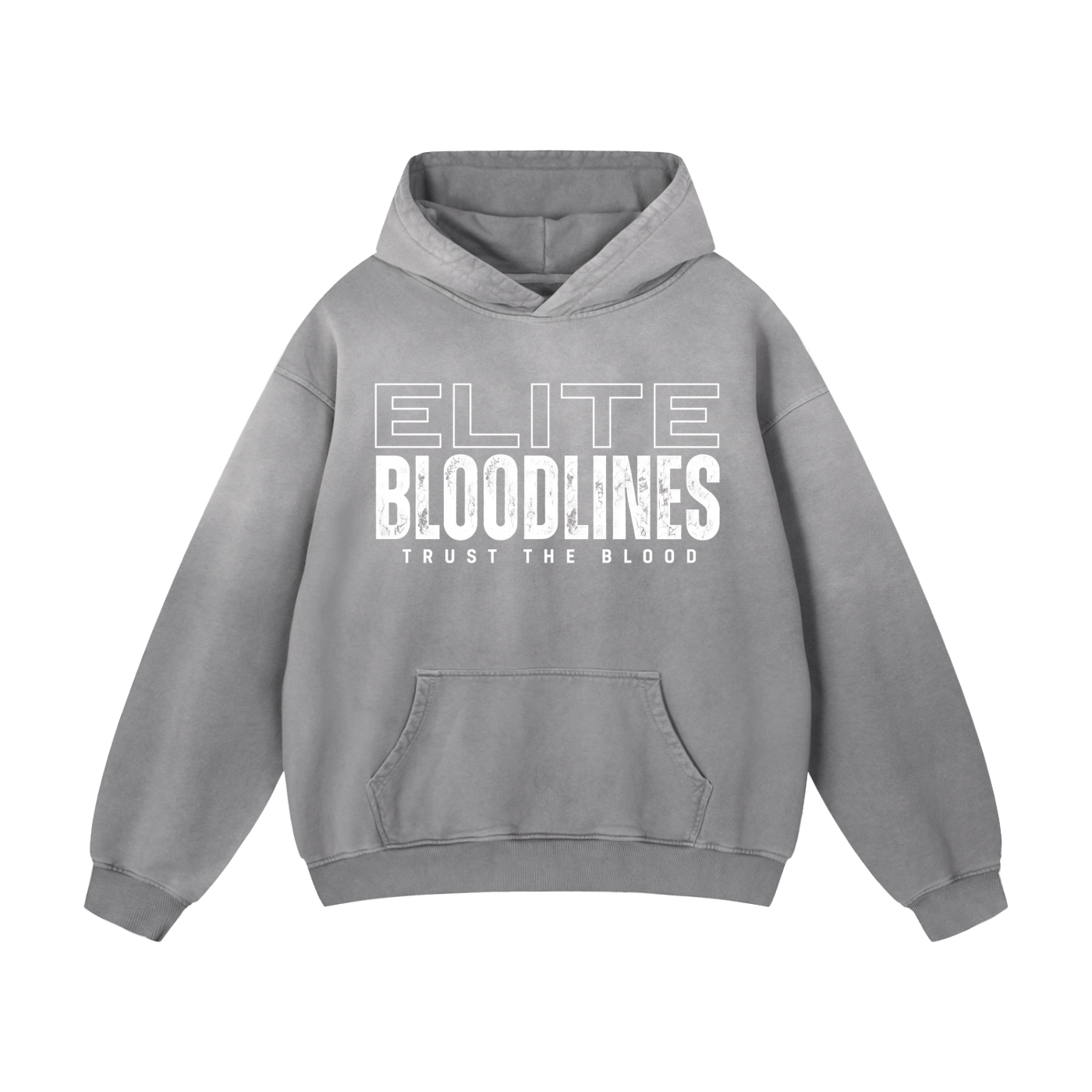 ELITE BLOODLINES Heavyweight Sunfade Oversized Hoodie