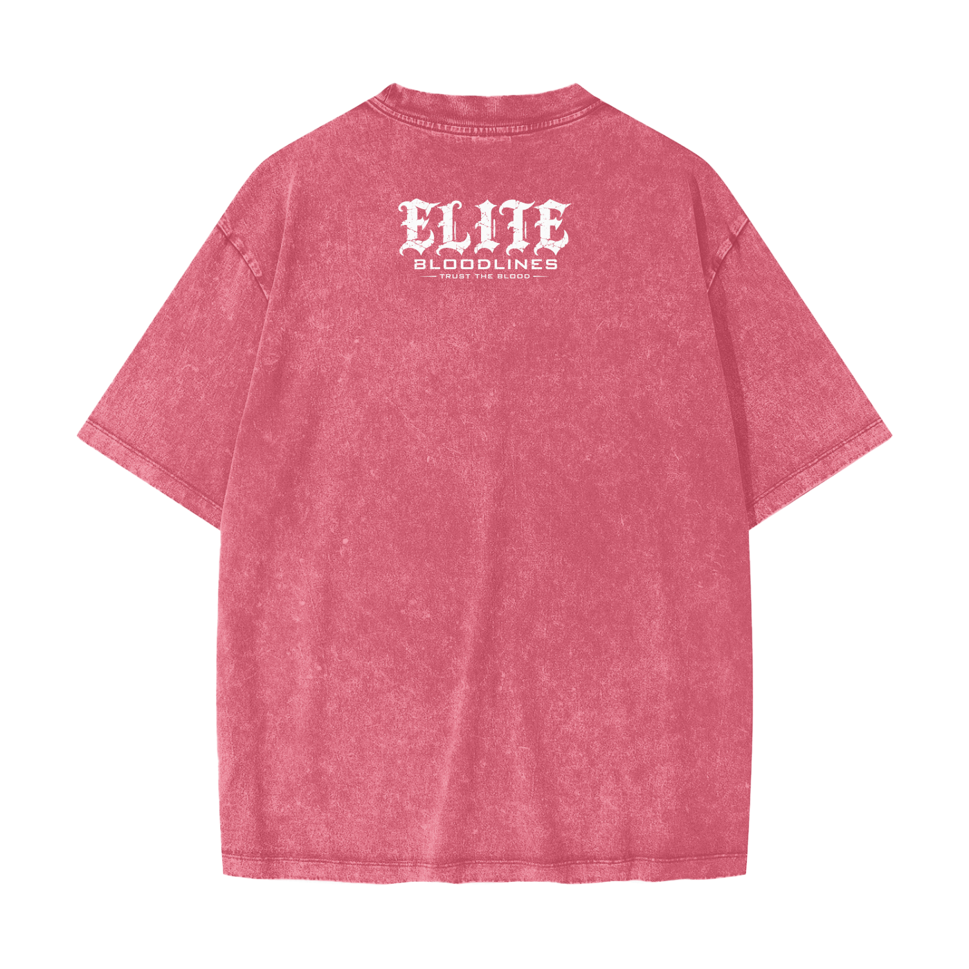 Heavyweight Snow Washed T-Shirt