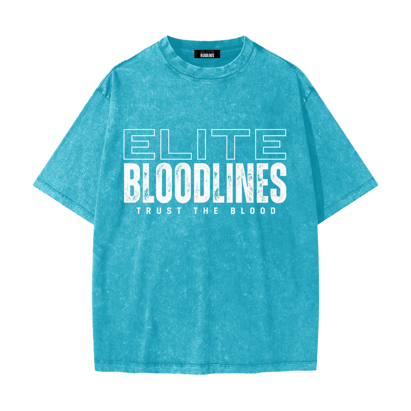 EB Core Line Heavyweight Snow Washed T-Shirt