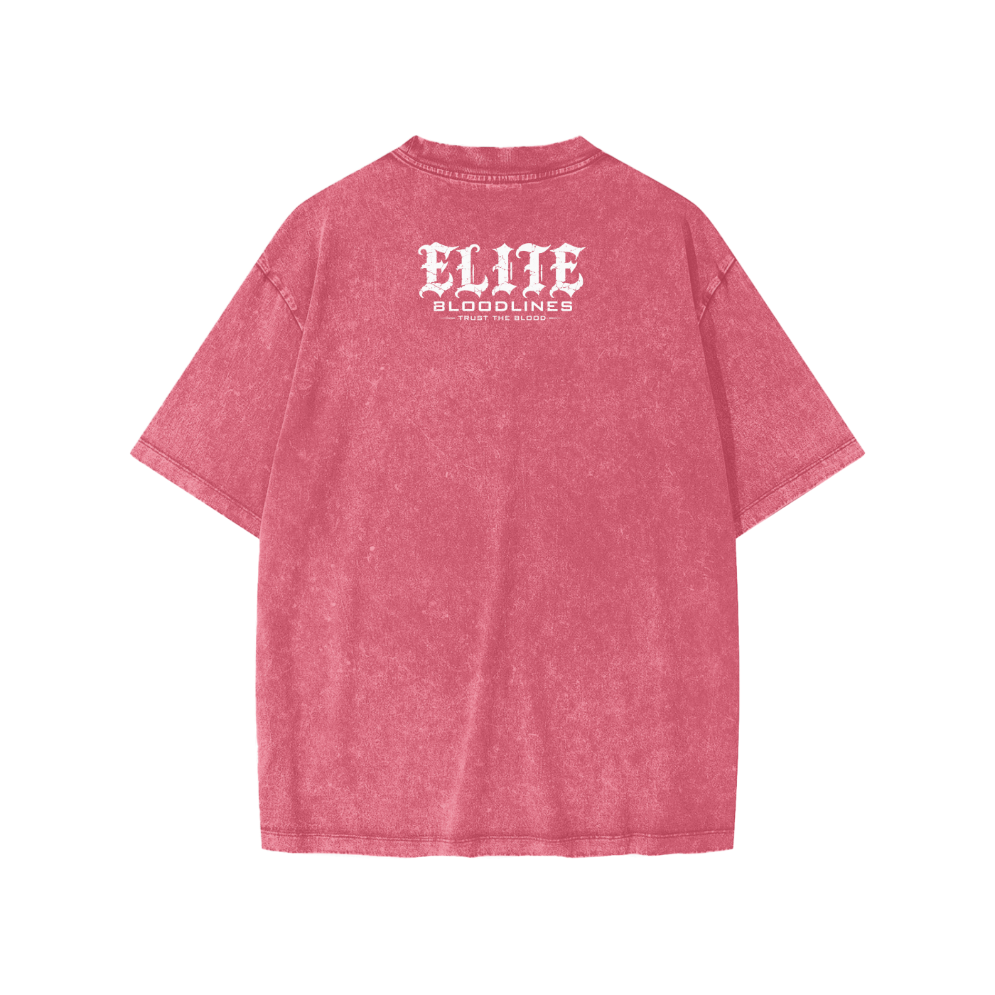 EB Kids Icon Snow Washed T-Shirt