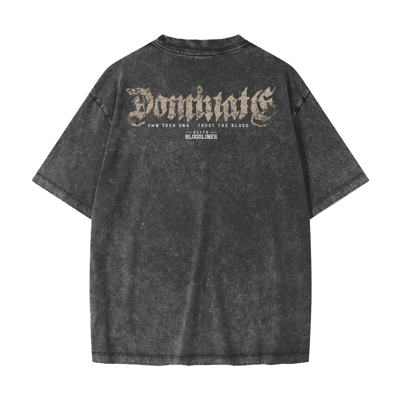 EB Dominate Heavyweight Snow Washed T-Shirt