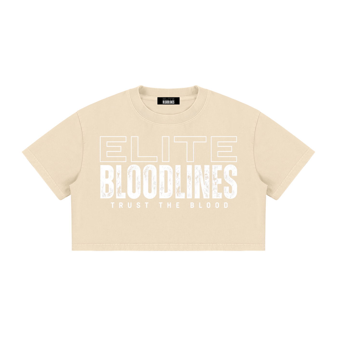 EB Core Line Women's Mineral Wash Cotton Crop T-Shirt